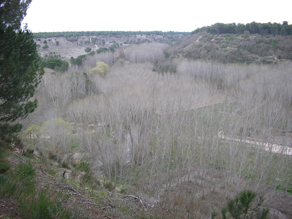 לינה וארוחת בוקר קוקה Casa De La Paca מראה חיצוני תמונה