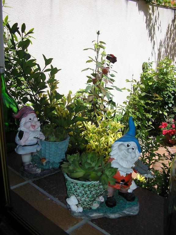 לינה וארוחת בוקר קוקה Casa De La Paca חדר תמונה